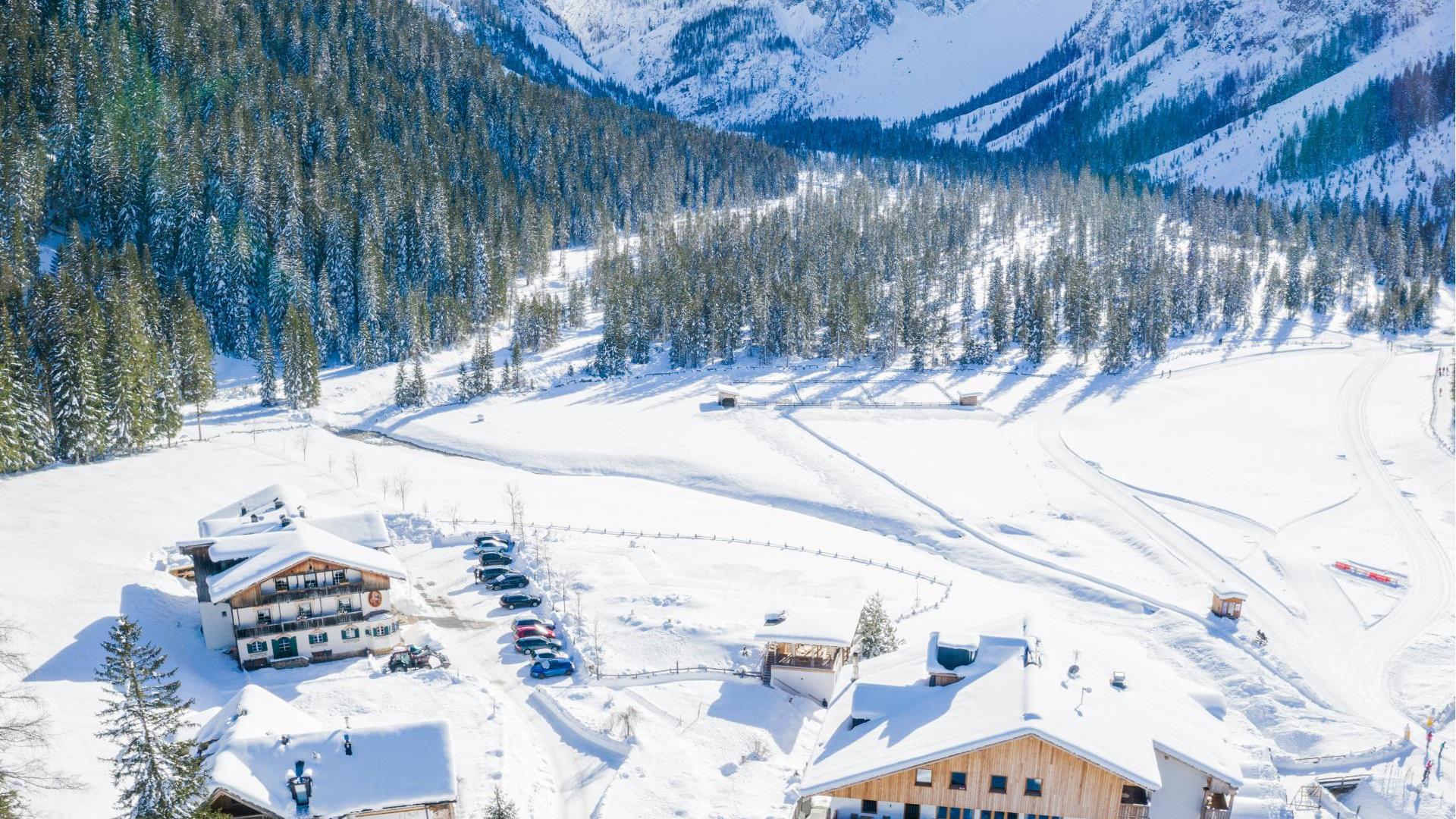 Hotel Dolomitenhof in winter