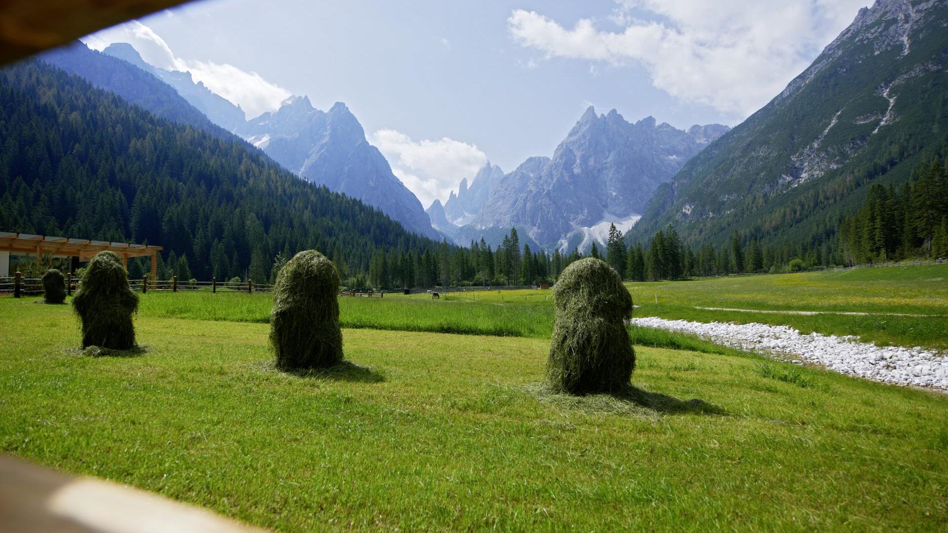 Blick auf die Dolomiten im Sommer